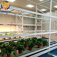 Bancs roulants pour l'agriculture, tables de culture intérieures, serres, plateaux de culture EBB et Flood, bancs roulants pour plantes médicinales