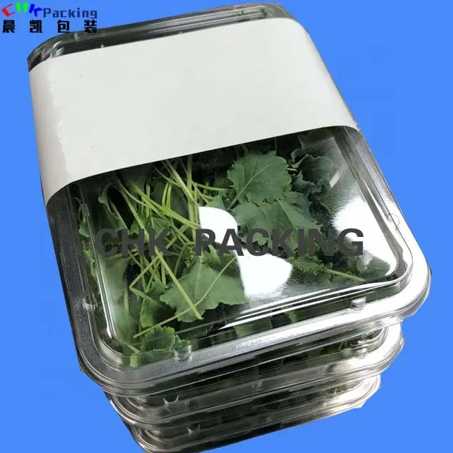 Biodegradable personalizado de plástico transparente de la cubierta de la caja para la comida