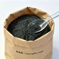 Poudre de spores d'Aspergillus Niger 5 milliards UFC/g Enzymes Additif alimentaire stimulant pour la production quotidienne d'œufs chez la volaille