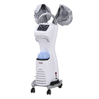 Support professionnel Ozone Micro Mist Nano Hair Styling Traitement Sèche-cheveux avec Double Caps Hair Steamer Machine