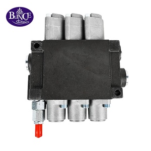 P40 สปริงดีเทนท์แบบคืนตัวอัตโนมัติ ระบบควบคุมทิศทางไฮดรอลิก - Product Image 1