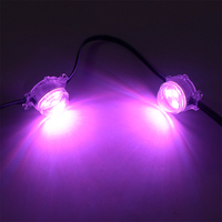Éclairage extérieur permanent CE FCC RoHS 30mm RGBW LED Pixel Puck Light UCS2904 pour Noël, les fêtes, les maisons, les avant-toits et les corniches