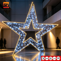 IP65 Outdoor LED Stern-Motiv-Beleuchtung für Weihnachtliche Gewerbliche Dekoration