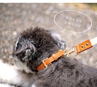 Collier pour chien et chat en cuir véritable, matière en cuir de vache, design mignon, style décontracté, motif monochrome pour petits/chiens moyens.