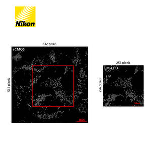 Le système de <span class=keywords><strong>microscope</strong></span> à super-résolution N-STORM offre une résolution dix fois supérieure aux microscopes optiques standard. - Product Image 3