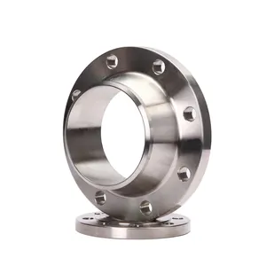 8 Inch ANSI B16.5 Class 150/300/600/900 A105 Forged Carbon/Stainless Steel Flanges Blind Flange