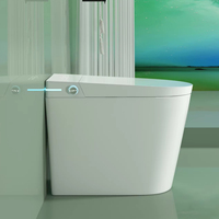 Petit sanitaire monobloc en céramique de forme allongée siège à affleurement automatique contrôlé à distance toilette intelligente Offre Spéciale monté au sol