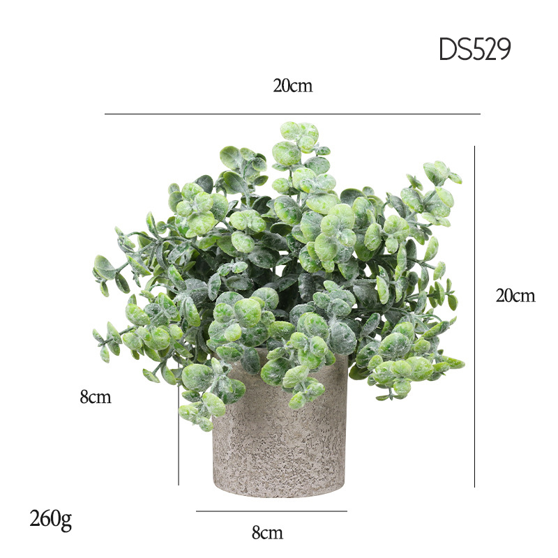 529  Hanging frost Azolla