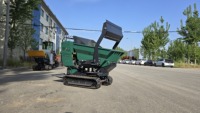 Mini-Dumper Raupenlader Robust Langlebig Kraftstoffsparend Briggs&Stratton Vanguard Motor Eaton Hydraulikpumpe Hohe Nutzlast