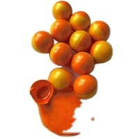 Haute qualité 0.68 pouces balles de paintball balles de paintball peinture balle pistolets tir paintball