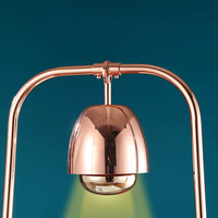 Lampe Chauffante Électrique en Acier Inoxydable pour Buffet, Idéale pour Hôtels, Restaurants, Traiteurs et Barbecues – Table de Maintien au Chaud