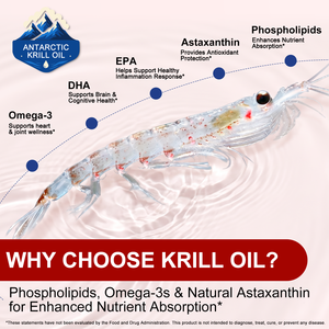 Cápsulas Blandas de Aceite de Krill Antártico Lenm 2000 <span class=keywords><strong>Mg</strong></span> con Omega-3 EPA y DHA para el Apoyo Inmunológico, la Salud de las Articulaciones y el Cerebro - Product Image 5