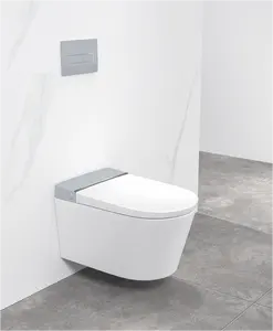 浴室一体式陶瓷OEM多色可用壁挂式马桶