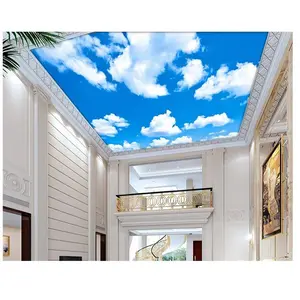 2024 China factory celling stretch sky 3d ceiling new designs pvc stretch ceiling fabric film