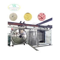 Oferta Especial: Liofilizador Industrial Walley (FD) para Procesamiento de Frutas y Vegetales, Material SUS304, Calentamiento Eléctrico/a Vapor, Alta Eficiencia Energética