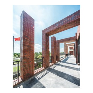 Casa Diseños Ladrillos <span class=keywords><strong>de</strong></span> arcilla Pared exterior <span class=keywords><strong>Fachada</strong></span> Azulejos <span class=keywords><strong>de</strong></span> clinker Lujo Rojo seco colgante Material <span class=keywords><strong>de</strong></span> azulejo <span class=keywords><strong>de</strong></span> pared exterior - Product Image 6