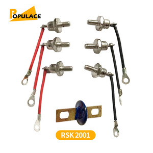 ชุดอุปกรณ์เรียงกระแส Populace Rsk2001 70a สำหรับซ่อมเครื่องกำเนิดไฟฟ้าดีเซล - Product Image 1