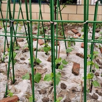 Treillis de jardin pour plantes grimpantes, piquets de support en acier au carbone plastifié pour tomates, haricots, concombres