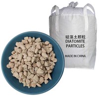 Poudre d'argile diatomée de haute pureté, diatomite naturelle, agent filtrant pour la filtration de la bière, du vin, de l'huile comestible et du sucre