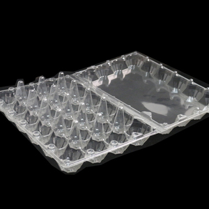 Quail Egg Plastic Wholesale Quail Egg Packing Cartons