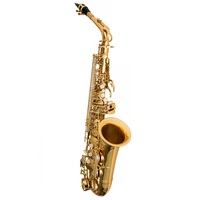 Factory Direct Sales of Professional Advanced Woodwind Instruments Saxophone