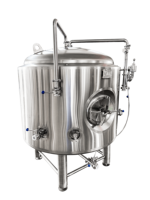 Système de Fermentation de Bière : Combinaison Unitank et Bright Tank pour la Production Artisanale