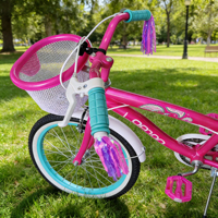 Vélo pour enfants avec roues d'apprentissage, cadre en acier 12-16 pouces, vitesse unique, frein à disque, pour garçons et filles de 3 à 5 ans, avec panier avant