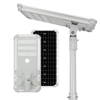 50W pabrik Cina harga grosir Outdoor semua dalam satu lampu jalan tenaga surya aluminium perumahan lampu jalan surya untuk jalan
