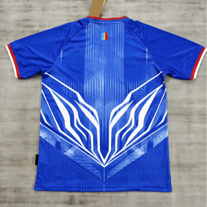 Vente en gros – Nouveaux maillots de football du Congo 2026 à manches courtes et kits d'équipe de football personnalisés haut de gamme - Product Image 2