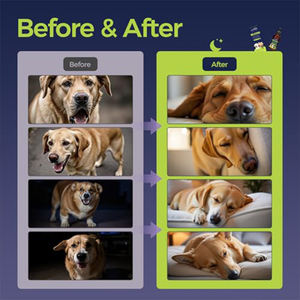 Serie <span class=keywords><strong>de</strong></span> Suplementos Multifuncionales para Mascotas, Hierba Essiac + Melatonina + Gotas Homeopáticas, Gran <span class=keywords><strong>Venta</strong></span> en Múltiples Plataformas - Product Image 4