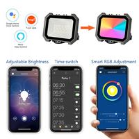 Projecteur LED RGB d'Ambiance pour Fête, Lumière Changeante de Couleur, Télécommande, Contrôle TUYA, Projecteur d'Extérieur pour Paysage, Lampe Maison Intelligente