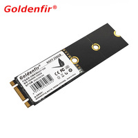 Goldenfir Factory HD800 NGFF M.2 Sata Internal 60GB 64GB 120GB 128GB 240GB 256GB 480GB 512GB 1TB Ssd perangkat keras