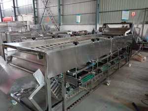 Trieuse automatique de pommes de terre trieuse de tomates Orange Avacados Myrtille <span class=keywords><strong>Cerise</strong></span> Trieuse de tomates - Product Image 5