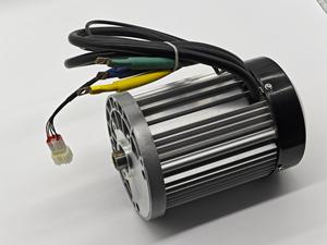 Kit de conversión de 3300RPM 2KW 60V, Motor PMSM de CC sin escobillas con ruedas para triciclo, autobús turístico eléctrico, Mini Camper, precio - Product Image 3