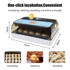 Incubateur à œufs de poulet mini automatique avec dispositif de remplissage d'eau, prix d'usine, en vente - Product Image 5