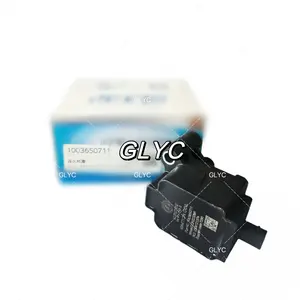 CNG LNG Ignition Coil Assembly 1003650711 1000264408 For FAW Weichai Guowu Guoliu
