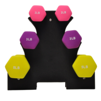 Ensemble de 6 haltères triangulaires durables avec support Équipement de fitness à usage domestique-Haltères d'exercice