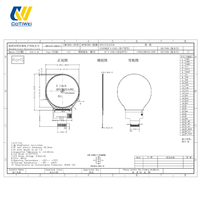 Écran LCD TFT IPS rétroéclairé LED CoTiWei de 2,1 pouces, résolution 480x480, interface MIPI SPI, module d'écran tactile, luminosité 350 cd/m²