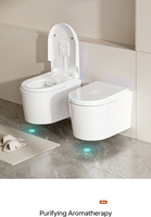 WC intelligent polyvalent à température réglable, chauffage instantané, bidet intelligent pour la rénovation des salles de bain familiales