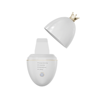Nettoyeur de pores ultrasonique 4-en-1 avec ions et nutriments, appareil raffermissant pour la peau