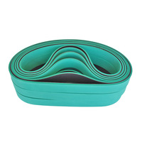 Bande transporteuse plate en nylon verte OEM, sans fin, pour alimentation industrielle – Résistante à l'usure
