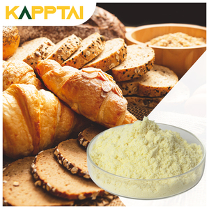 Bubuk kuning telur Premium kaya akan pasteurisasi dalam lesitin & vitamin unggulan Ideal untuk suplemen memanggang & nutrisi - Product Image 3