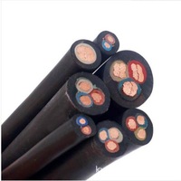 Câble étanche 2AWG 4AWG 6AWG 8AWG 10AWG 12AWG 3 4 5 Noyau 3.5mm 5.5mm 8mm 14mm 22mm 30mm Câble de pompe submersible en caoutchouc plat