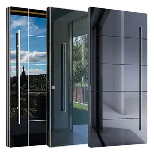 Puerta pivotante de acero inoxidable, diseño de alta calidad, negra, brillante, frontal interna, Exterior, principal, moderna, de Metal y vidrio