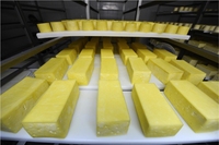 Proyecto Llave en Mano de Cámara Frigorífica a Gran Escala para Productos Lácteos con Motor para Centro de Distribución de Fábrica de Procesamiento de Leche