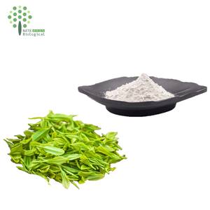 Estratto di tè verde naturale in polvere L-teanina 98% - Product Image 4