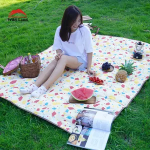 Wild Land Sleeping Mat Moisture Proof Air Cushion Mattress Camping Accessories Picnic Pad