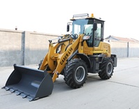 CASER L16 Traktor-Lader CBF32 Hydraulikpumpe Kleine Landwirtschaftliche Lademaschine