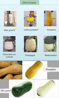 Éplucheur multifonctionnel pour melon d'eau/pastèque et taro/grande machine à éplucher les citrouilles