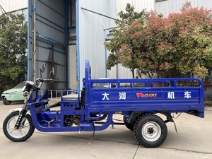 Tricycle motorisé à essence Offre Spéciale de Chine moteur à essence 175CC <span class=keywords><strong>moto</strong></span> tricycle cargaison et passagers <span class=keywords><strong>Canam</strong></span> - Product Image 6